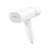 Portable Steamer Iron