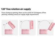Portable Desk Fan