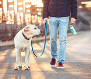 Dog Travel Water Bottle Dispenser